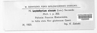 Leptothyrium alneum image